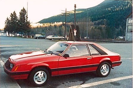 Mustang in Evergreen State