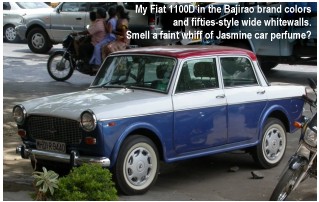 The lovely Padmini