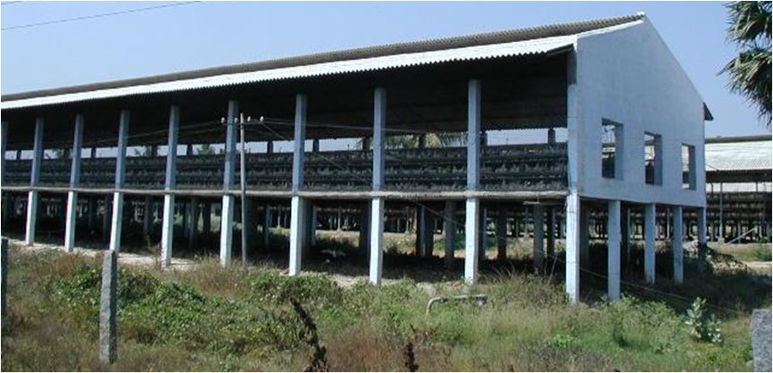 Poultry farm shed, Chittoor